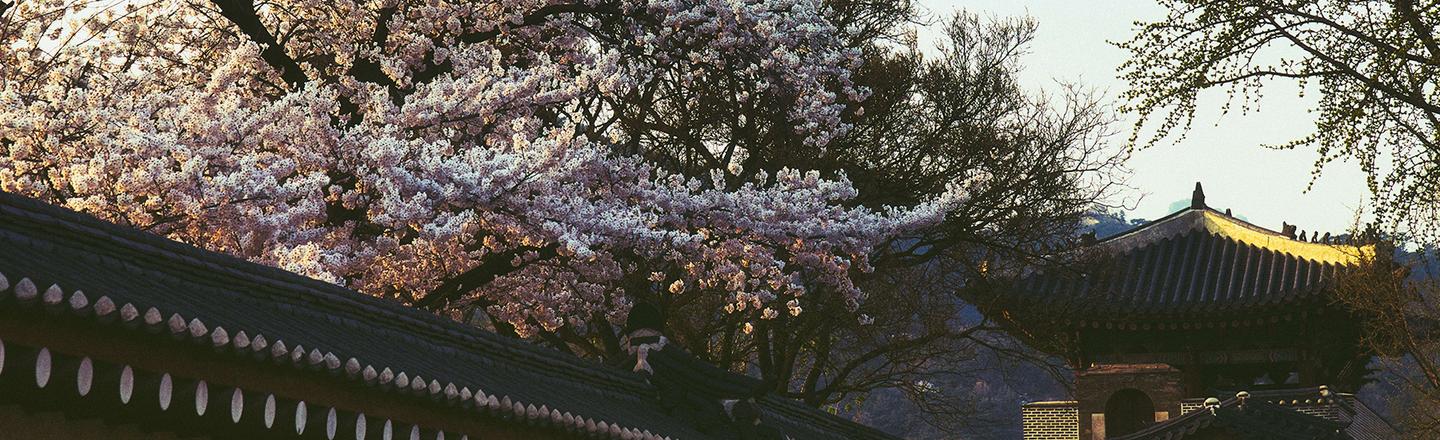 Analog Spring — slide 1