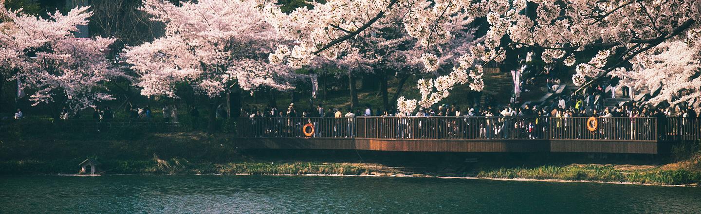 Analog Spring — slide 2