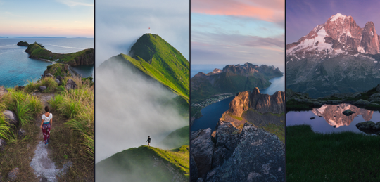 Vibrant Landscapes Bundle image