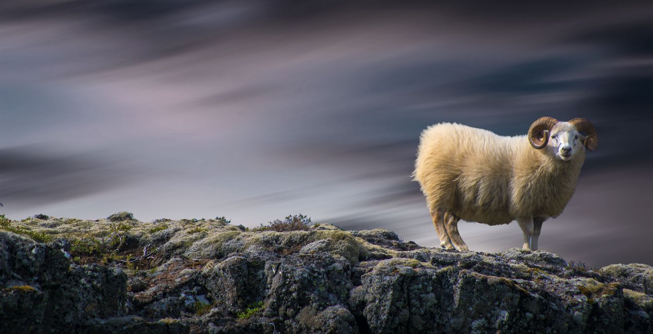 Fine Art Long Exposure Skies II for your photographs(46)