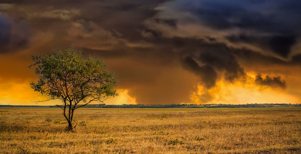 Panoramas Chasseur de Tempête Intrépide pour Luminar | Marketplace(49)