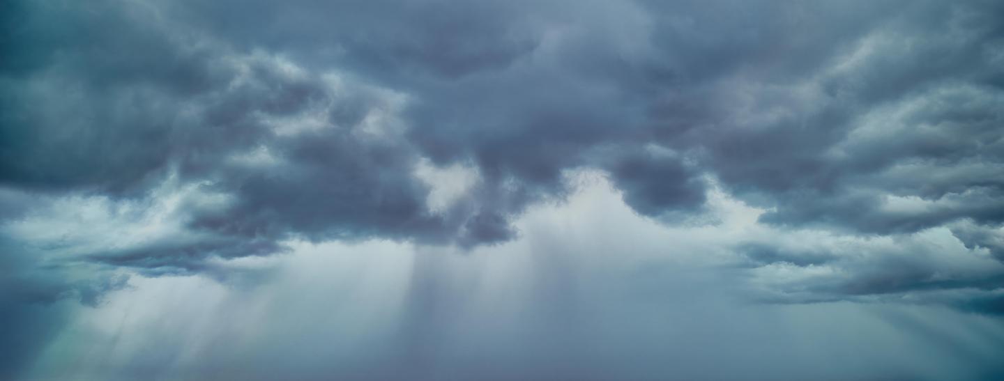 Fierce Nature Panoramas — slide 3