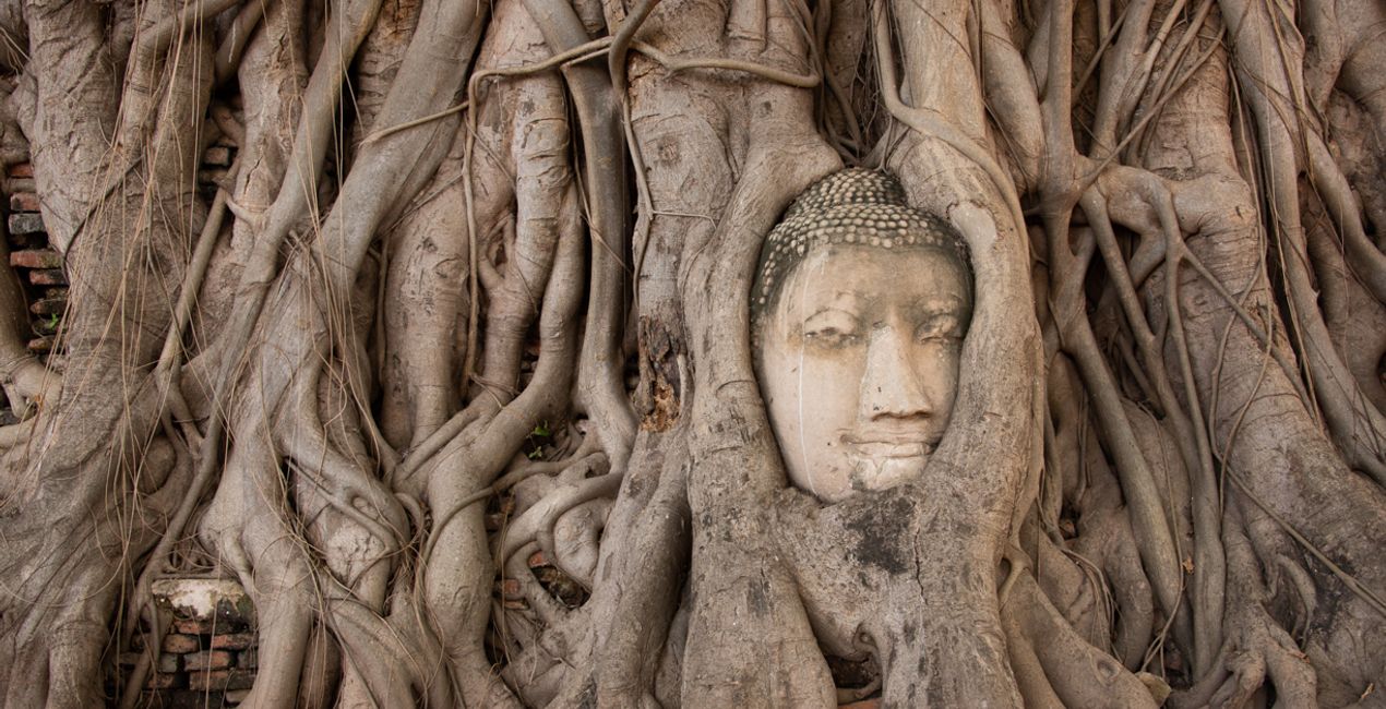 Travel Photography Course(48)