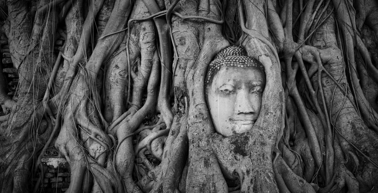 Travel Photography Course(49)
