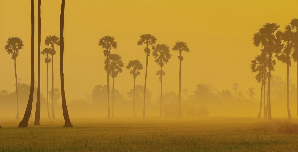 LUTs Étincelle Jaune pour vos photos(46)