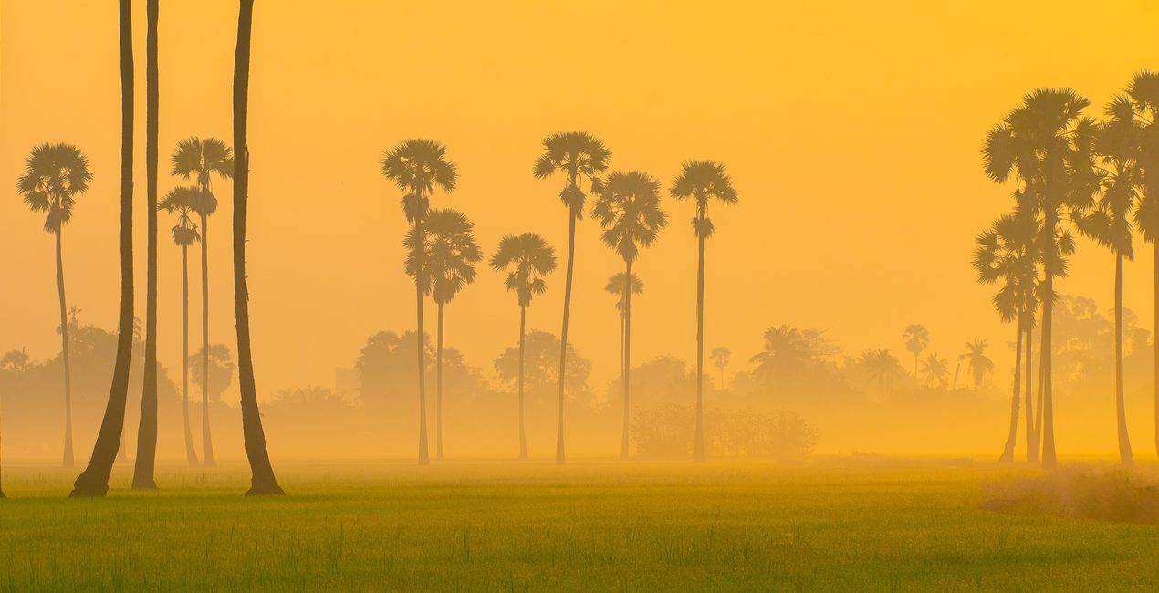 LUTs Étincelle Jaune pour vos photos(45)