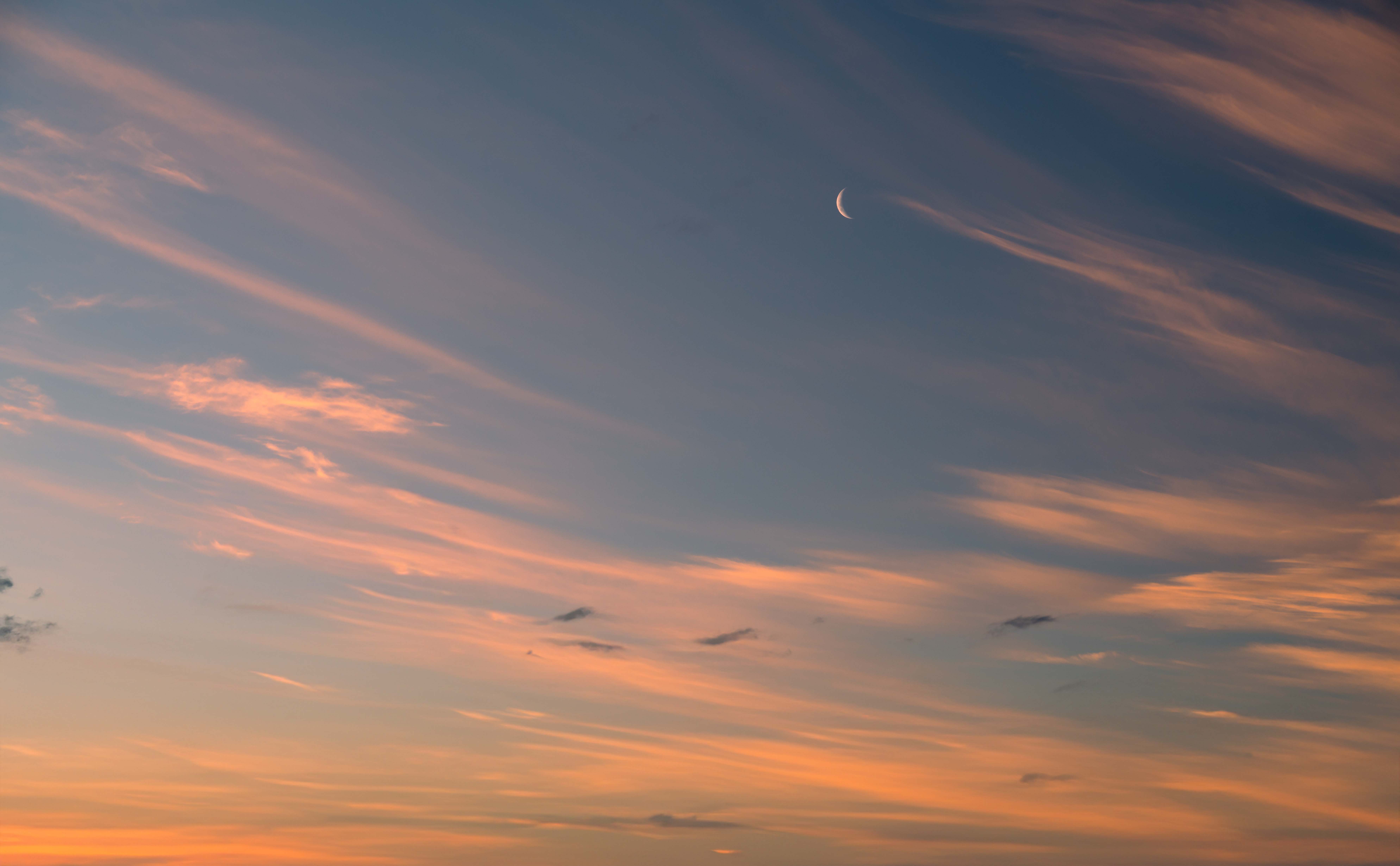 Skies of Patagonia for Marketplace(61)