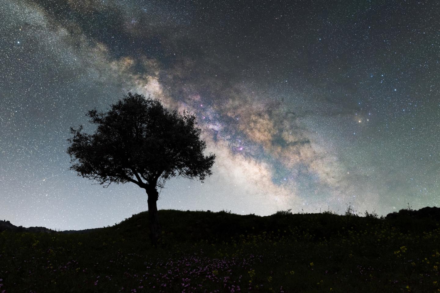 Milky Way Hunting — slide 1