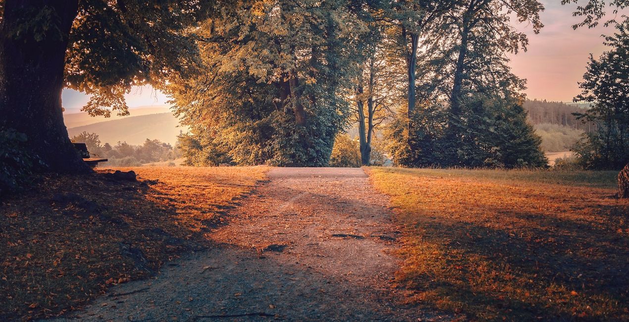 Autumn Essence Preset for Luminar | Marketplace(42)