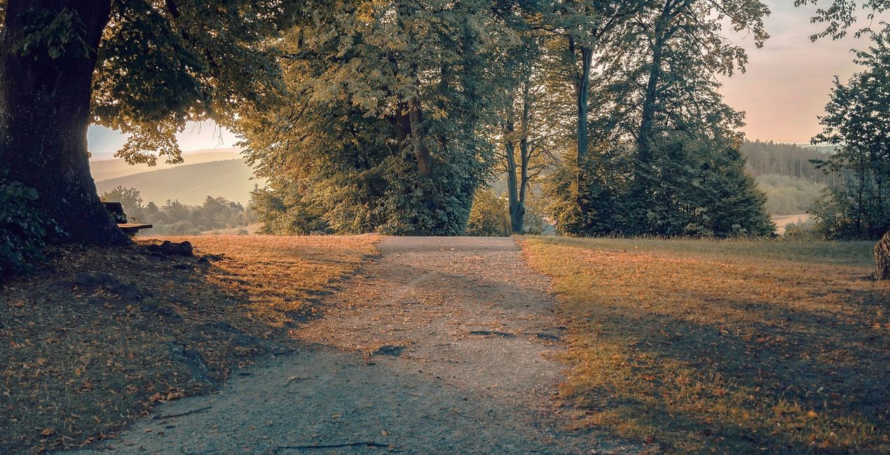 Autumn Essence Preset for Luminar | Marketplace(41)