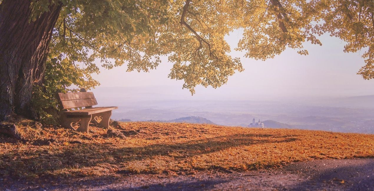 Autumn Essence Preset for Luminar | Marketplace(40)