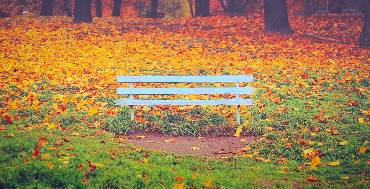 Autumn Essence Preset for Luminar | Marketplace(46)