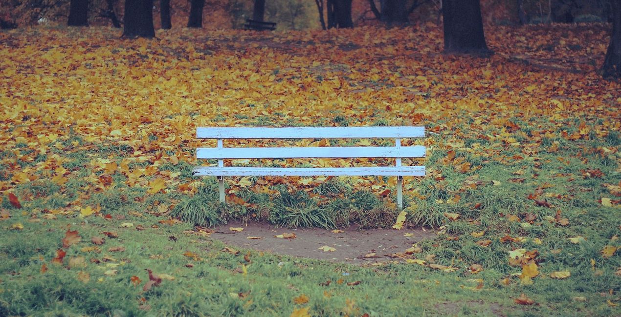 Autumn Essence Preset for Luminar | Marketplace(45)