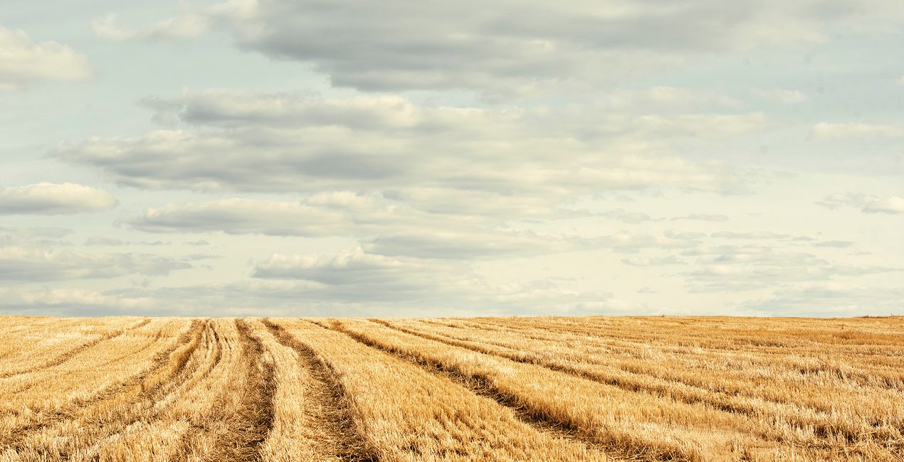 Suspenseful Landscapes Presets(42)