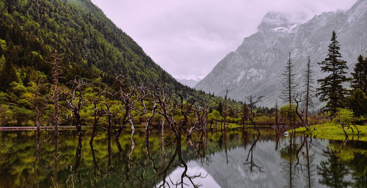 Suspenseful Landscapes Presets(46)