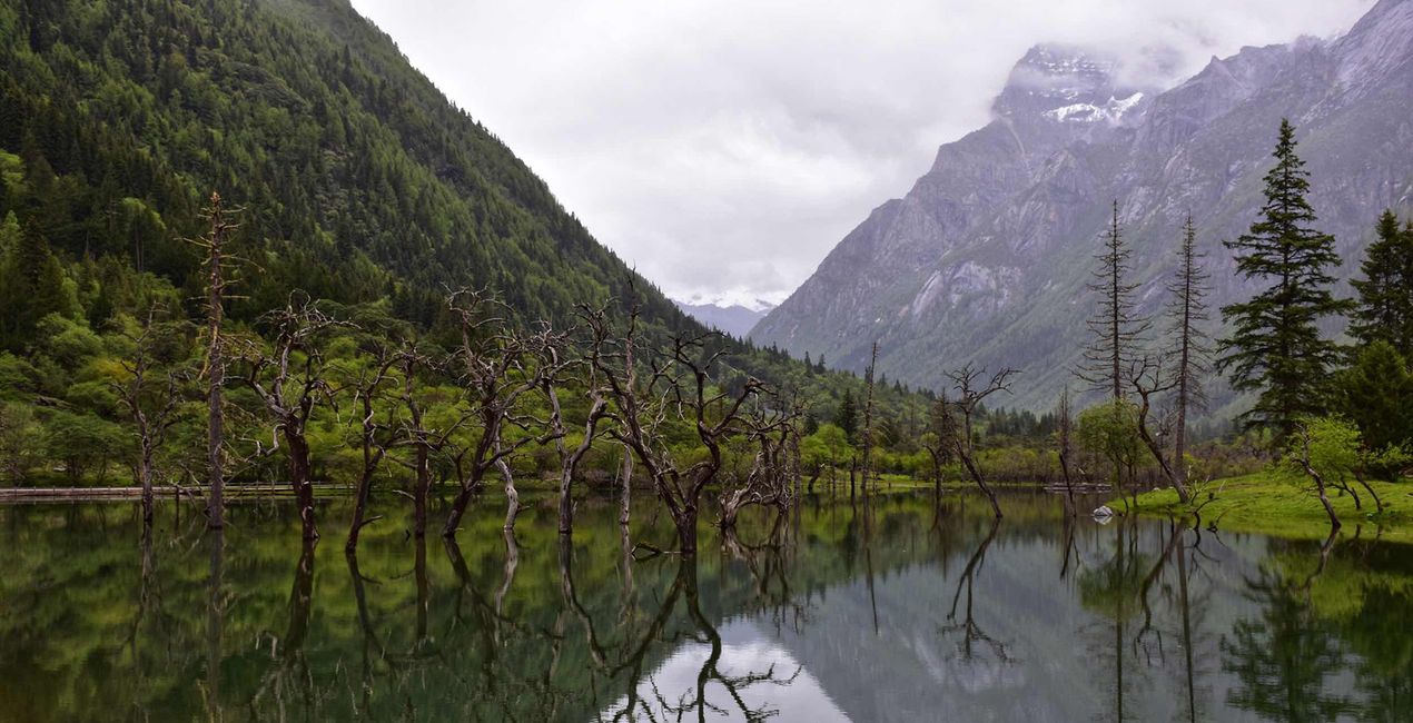 Suspenseful Landscapes Presets(45)
