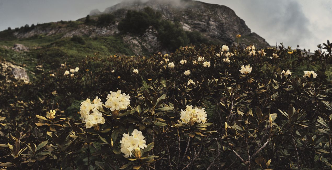 Suspenseful Landscapes Presets(50)