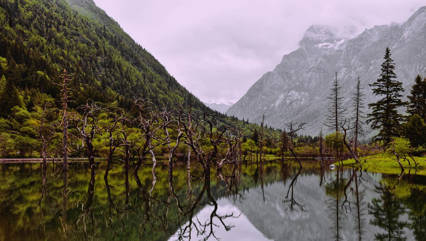 Suspenseful Landscapes — slide 1