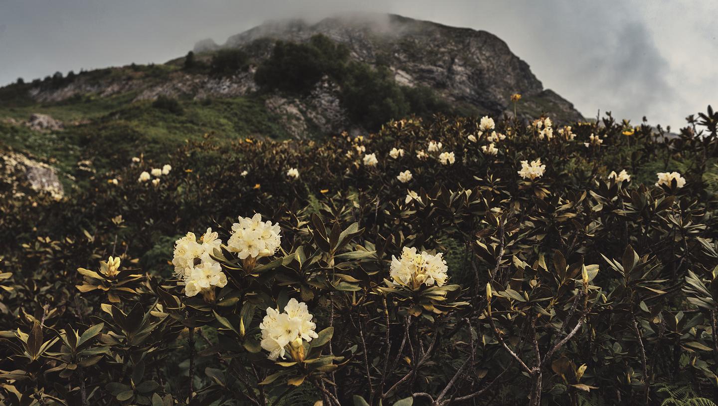 Suspenseful Landscapes — slide 3