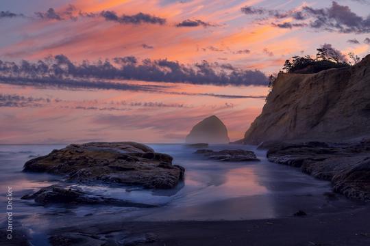 Pacific Coastline image