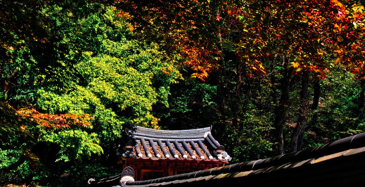 Préréglages Souffle d'Automne(48)