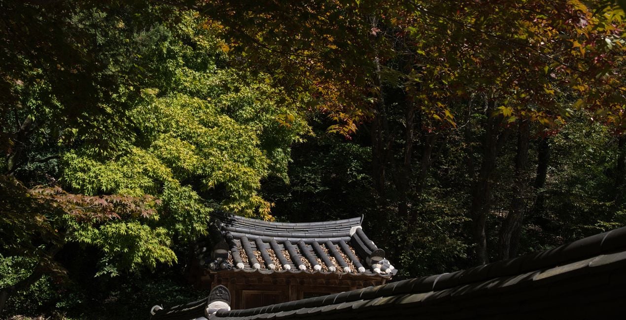 Préréglages Souffle d'Automne(47)