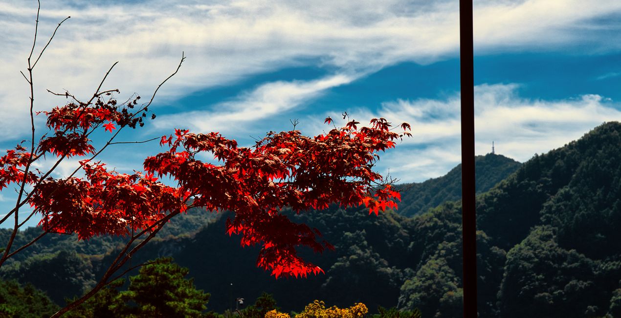 Préréglages Souffle d'Automne(46)