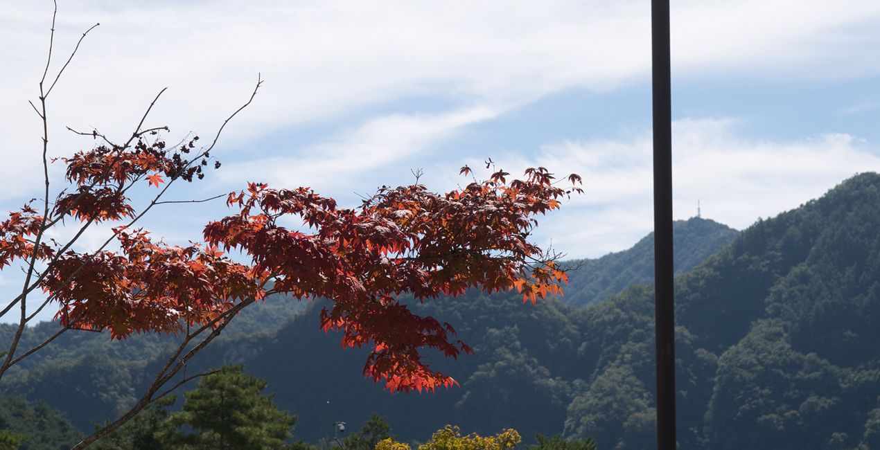 Préréglages Souffle d'Automne(45)