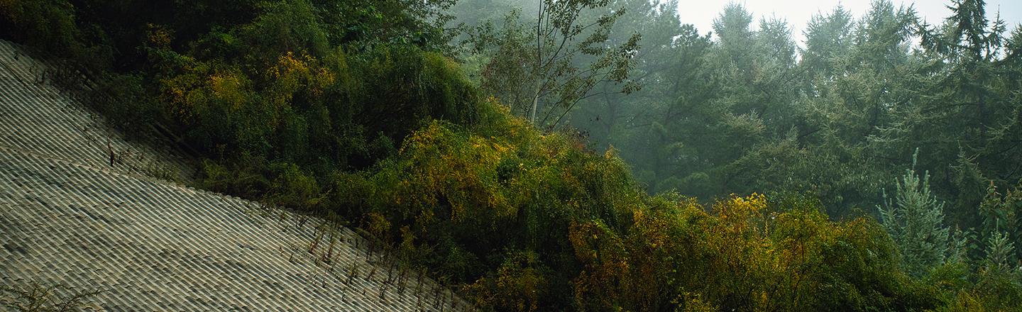 Fall Mists — slide 3