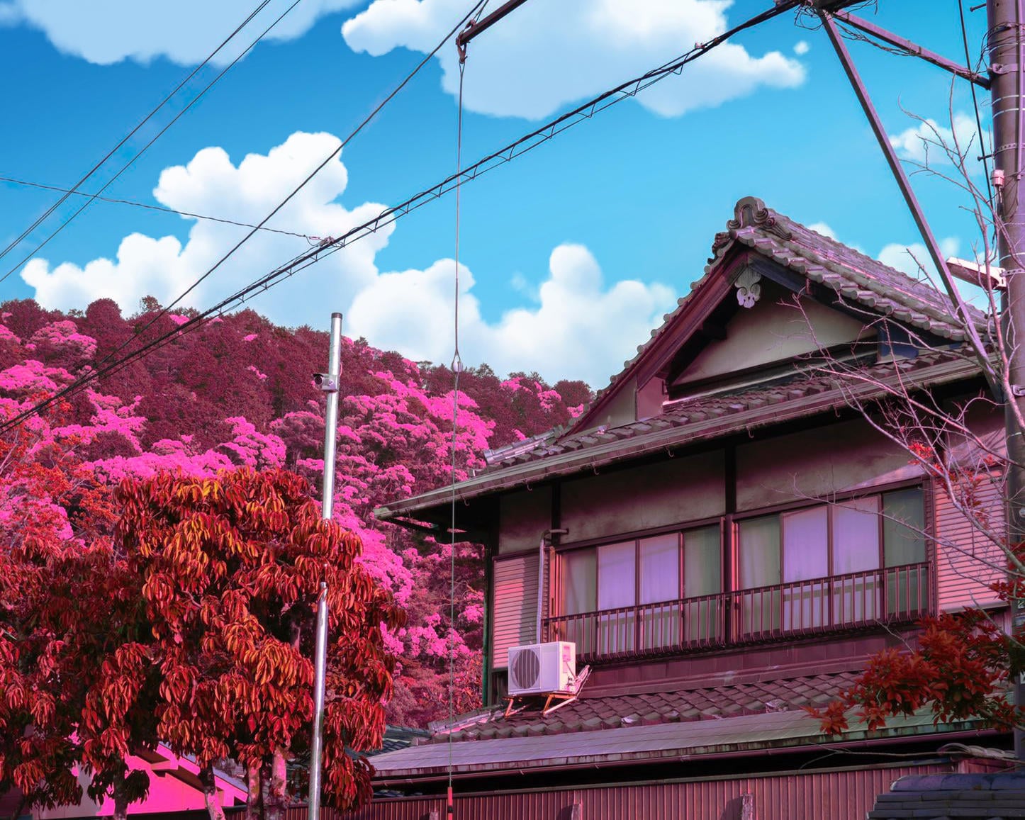 X Membership - Subscribe And Get Exclusive Assets For Photo Editing(157)