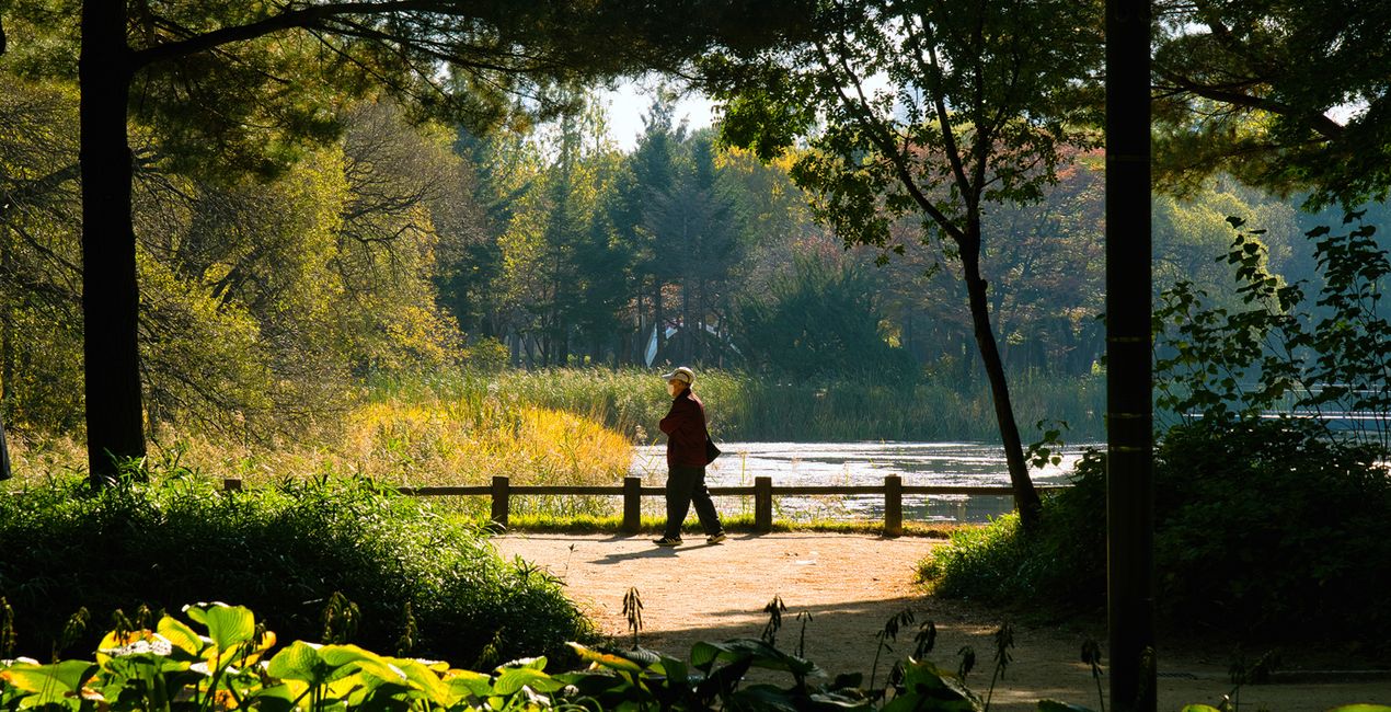 Fall Mornings Presets for Luminar | Marketplace(48)