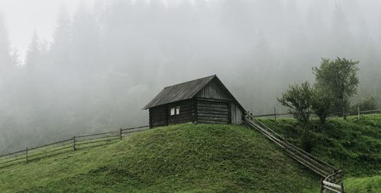 Minimal Nature image