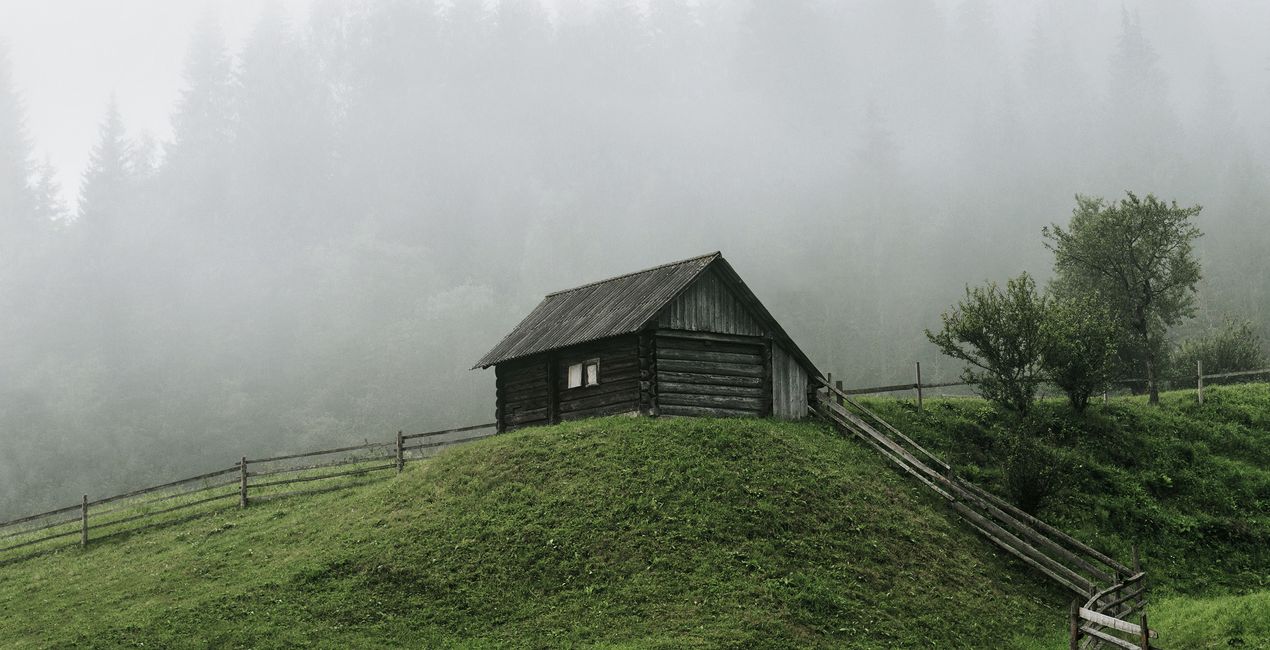 LUTy Minimalistyczna natura do Twoich zdjęć(40)