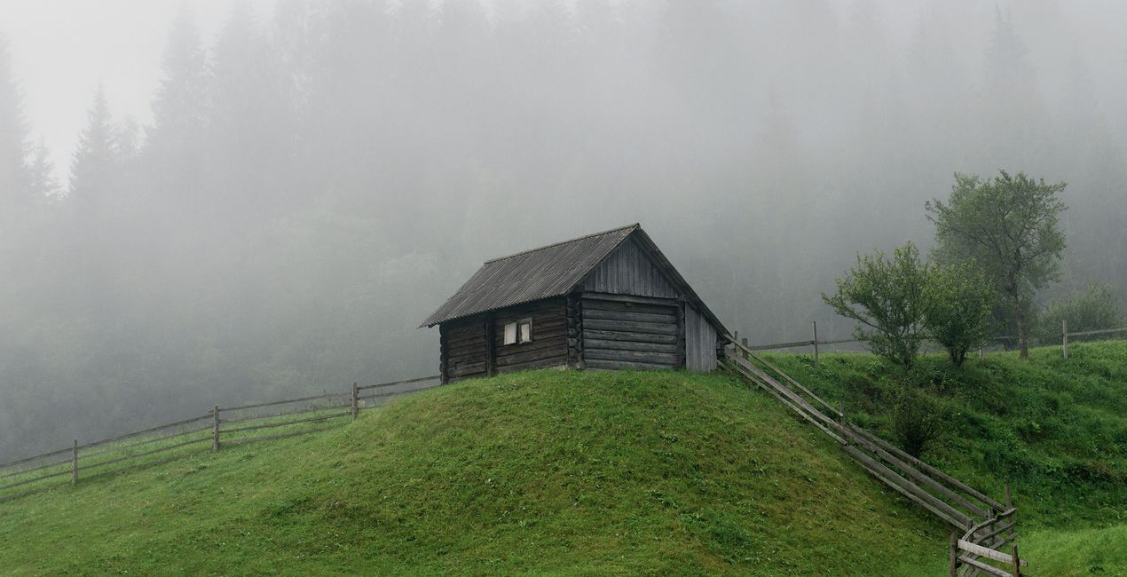 LUTy Minimalistyczna natura do Twoich zdjęć(39)