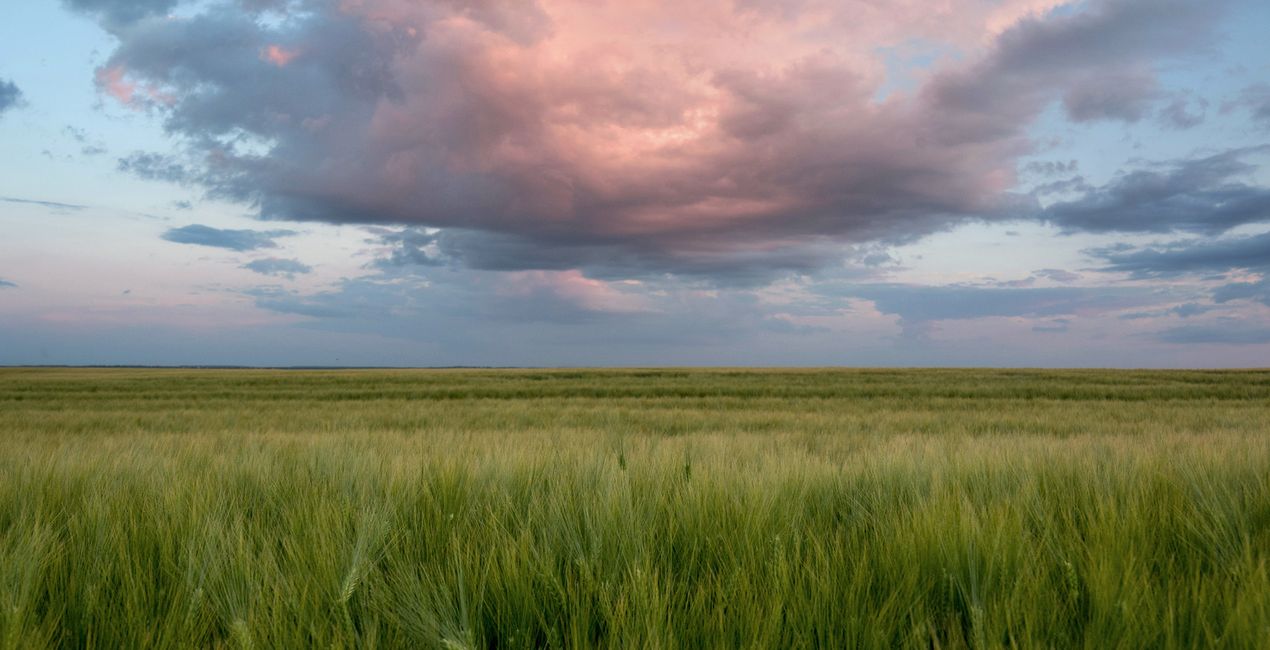 LUTy Minimalistyczna natura do Twoich zdjęć(49)