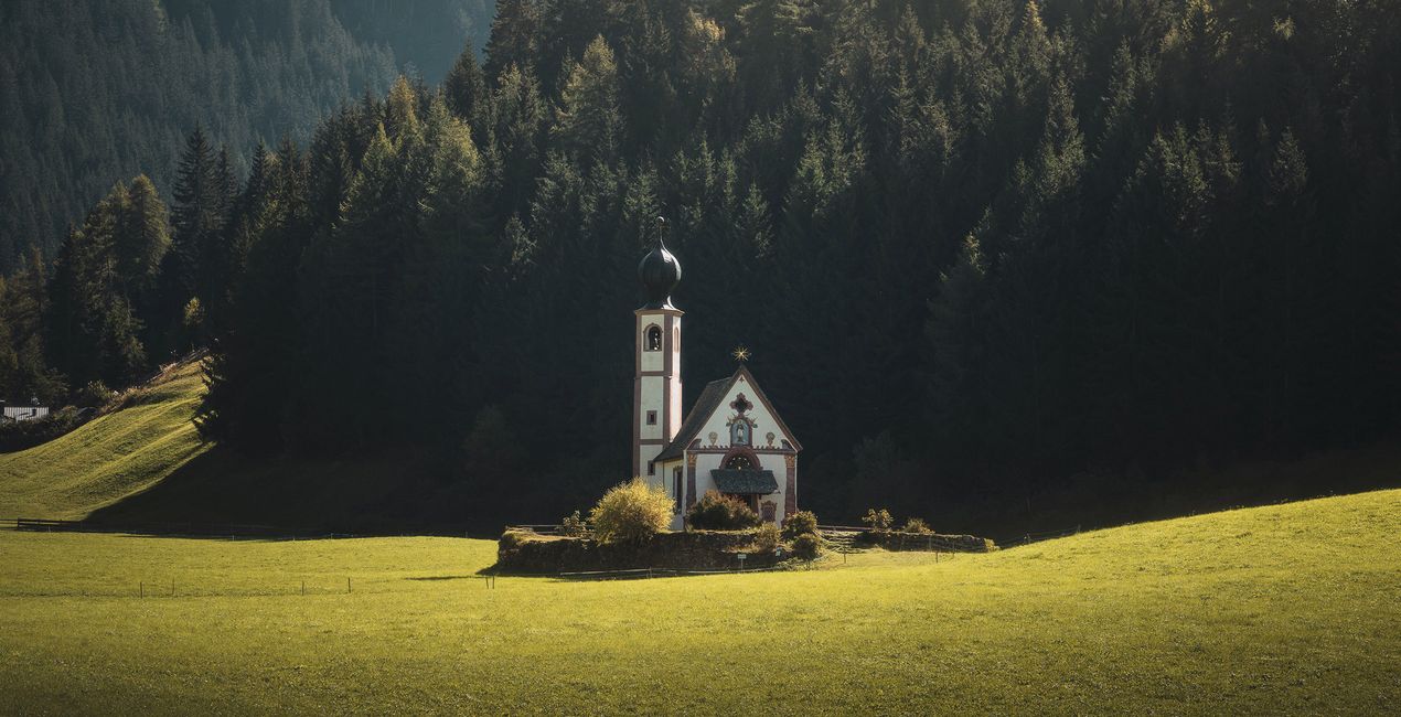 LUTy Minimalistyczna natura do Twoich zdjęć(42)