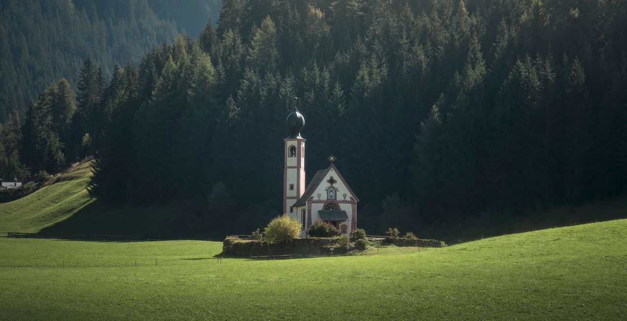 LUTy Minimalistyczna natura do Twoich zdjęć(41)