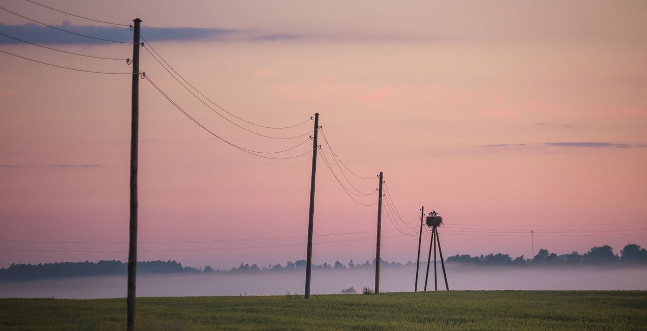 LUTy Minimalistyczna natura do Twoich zdjęć(44)