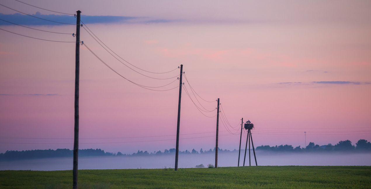 LUTy Minimalistyczna natura do Twoich zdjęć(43)