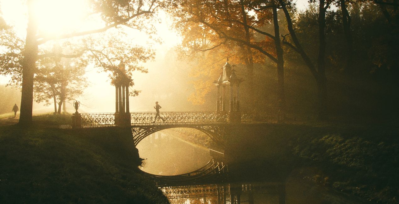 European Autumn Presets for Luminar | Marketplace(50)