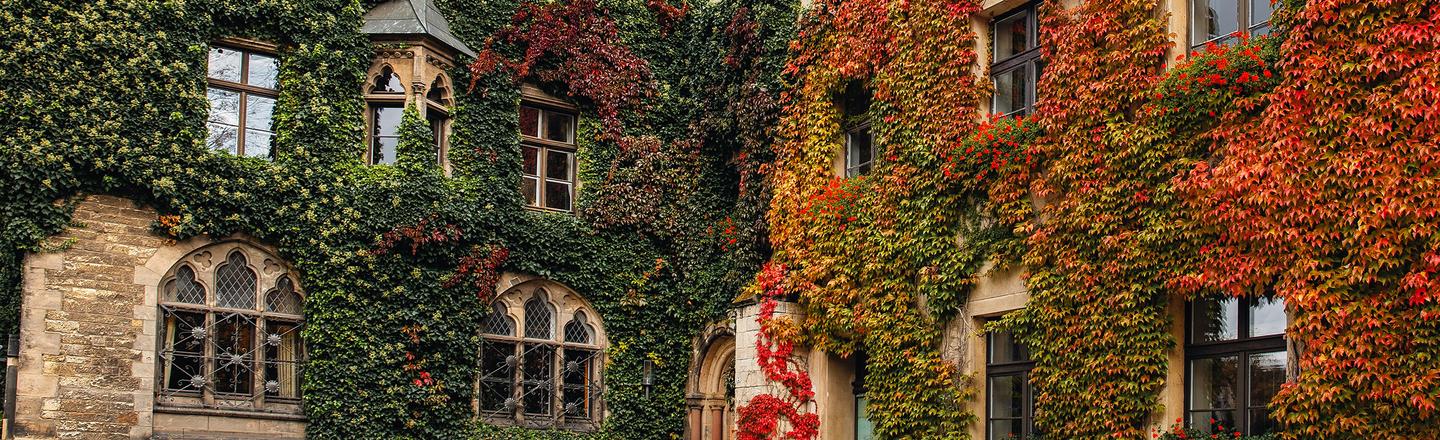 European Autumn — slide 2