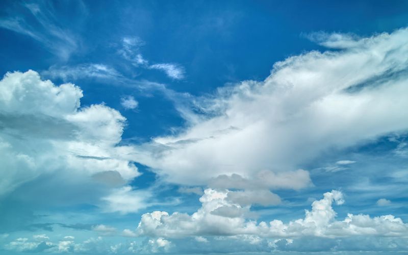 Skies included in the pack(4)
