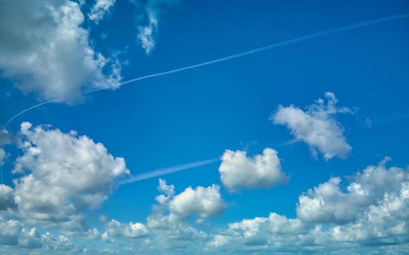 Skies included in the pack(5)