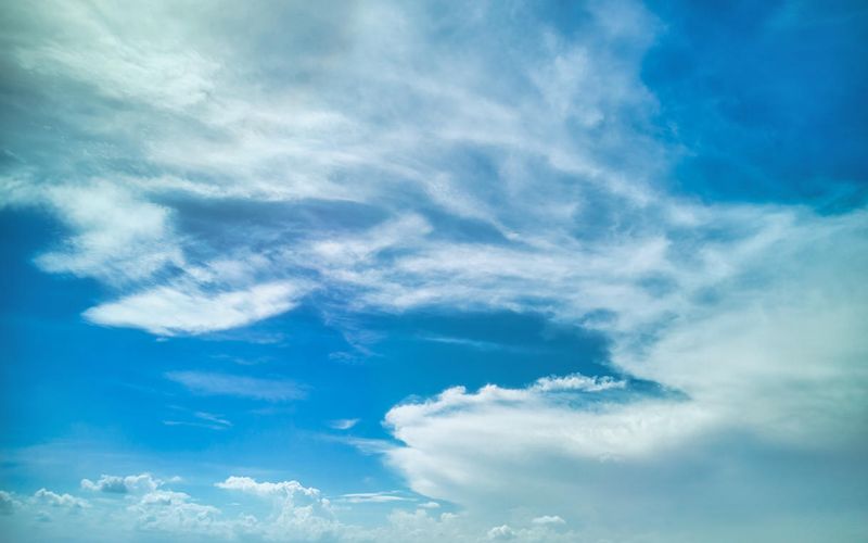Skies included in the pack(7)