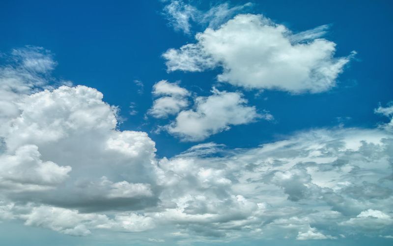 Skies included in the pack(18)
