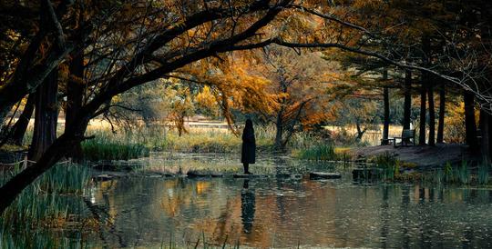 Autumn’s Heart image