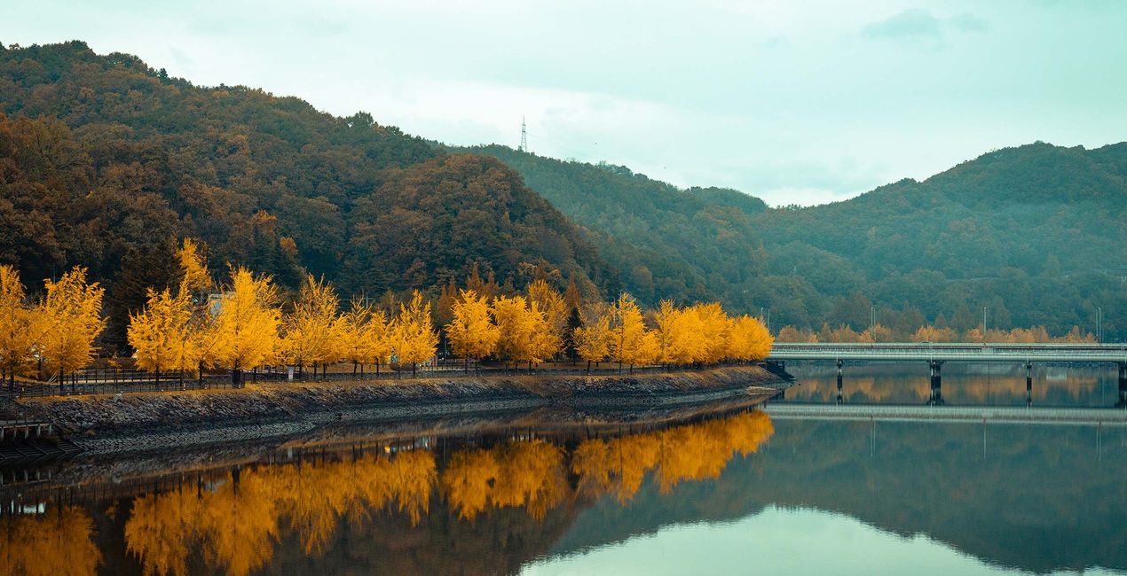 Autumn’s Heart Presets for Luminar | Marketplace(42)