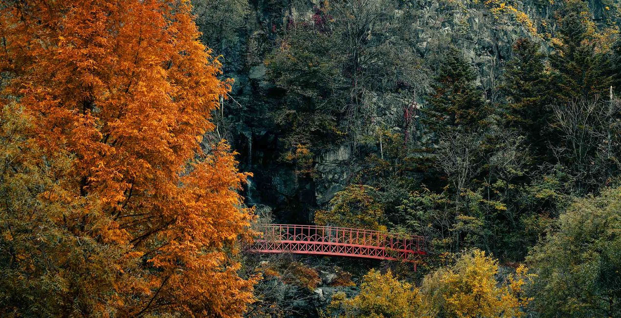 Autumn’s Heart Presets for Luminar | Marketplace(44)