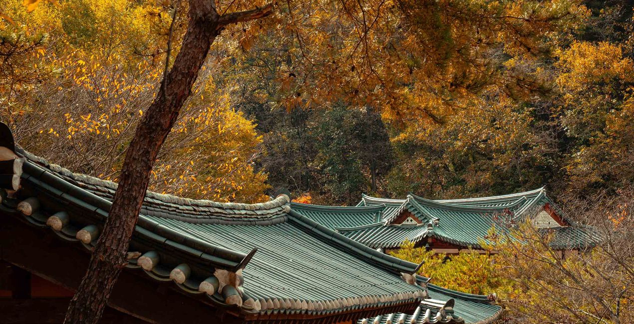 Autumn’s Heart Presets for Luminar | Marketplace(46)