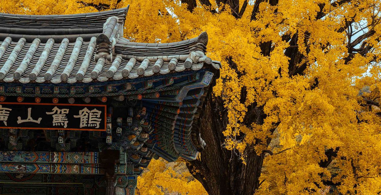 Autumn’s Heart Presets for Luminar | Marketplace(48)